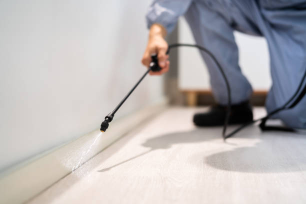 Bed Bug Pre-Treatment Preparation Assessment in Lake Summerset
