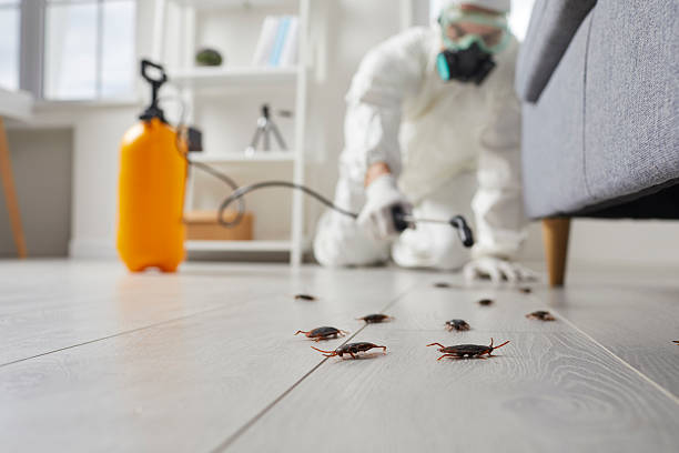 Post-Treatment Bed Bug Interceptor Monitoring in Lake Summerset