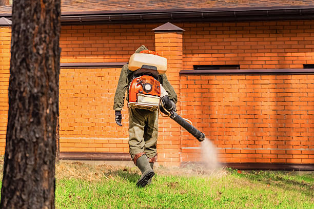 Bed Bug Clearance Verification and Documentation in Lake Summerset
